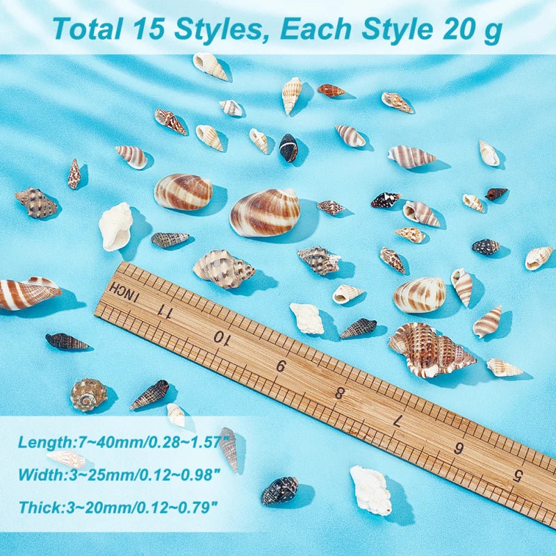 Lot 466 Coquillages Spirales Miniatures - 15 Styles pour Bijoux & Déco