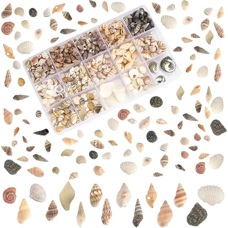 Lot 466 Coquillages Spirales Miniatures - 15 Styles pour Bijoux & Déco