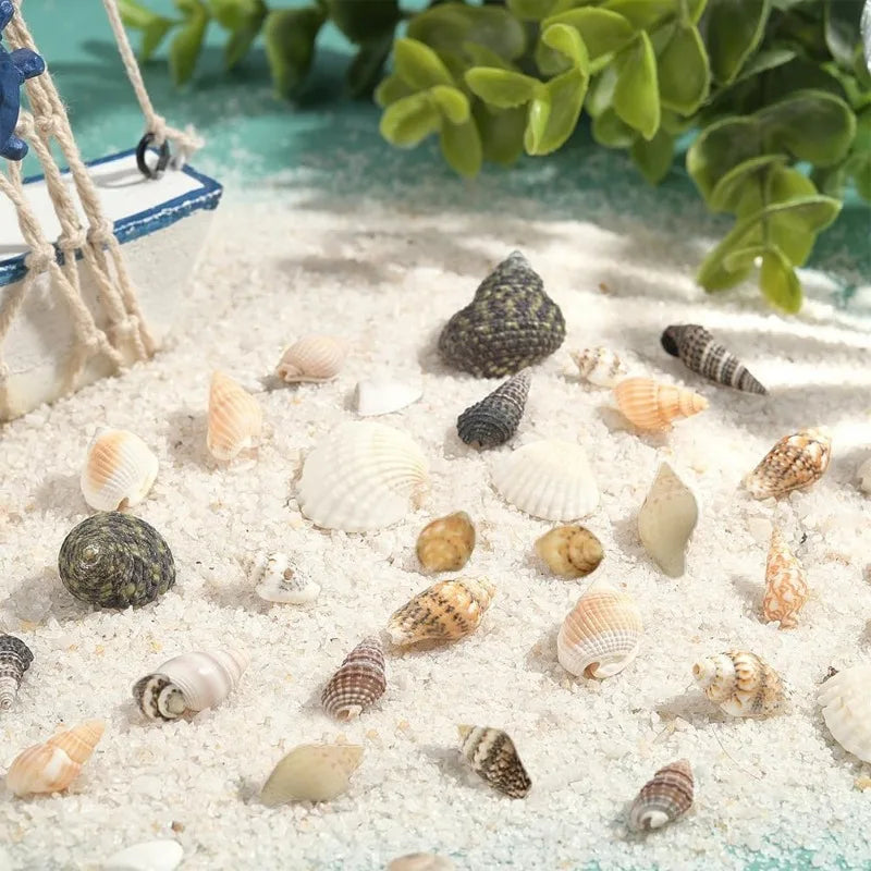 Lot 466 Coquillages Spirales Miniatures - 15 Styles pour Bijoux & Déco