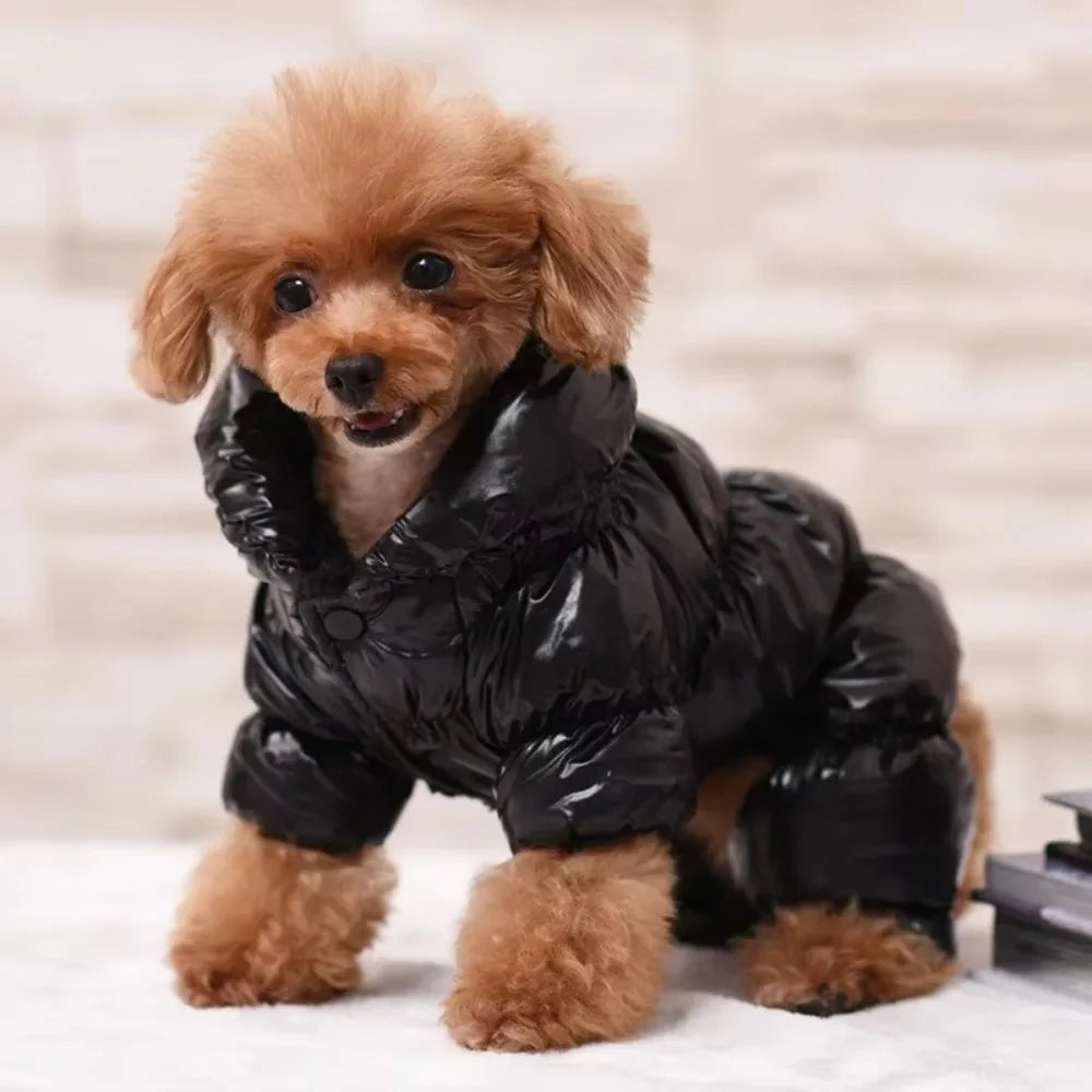 Dog Cat Pet Clothing Waterproof Clothes Faux Leather Down Jacket for Small Medium Dogs Pet Supplies Puppy Coat