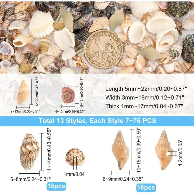 Lot 466 Coquillages Spirales Miniatures - 15 Styles pour Bijoux & Déco